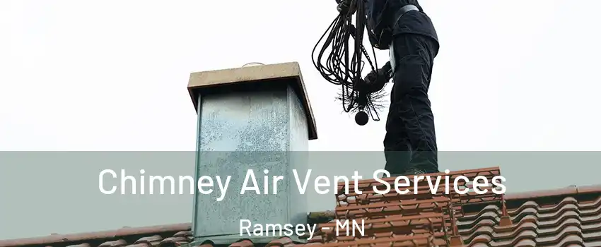  Chimney Air Vent Services Ramsey - MN