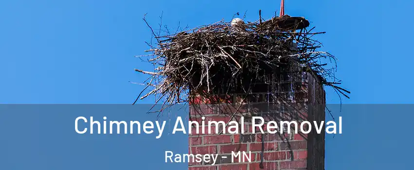Chimney Animal Removal Ramsey - MN