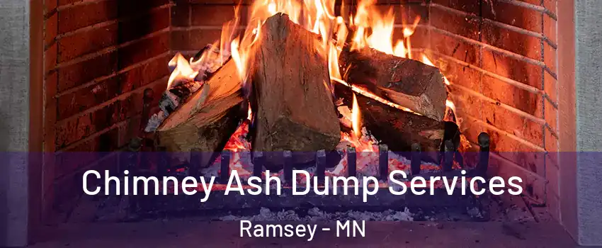  Chimney Ash Dump Services Ramsey - MN