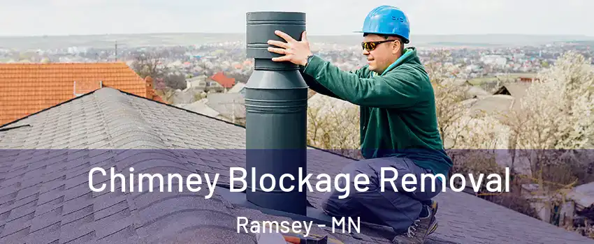  Chimney Blockage Removal Ramsey - MN
