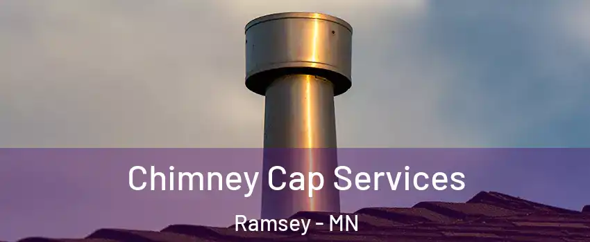  Chimney Cap Services Ramsey - MN