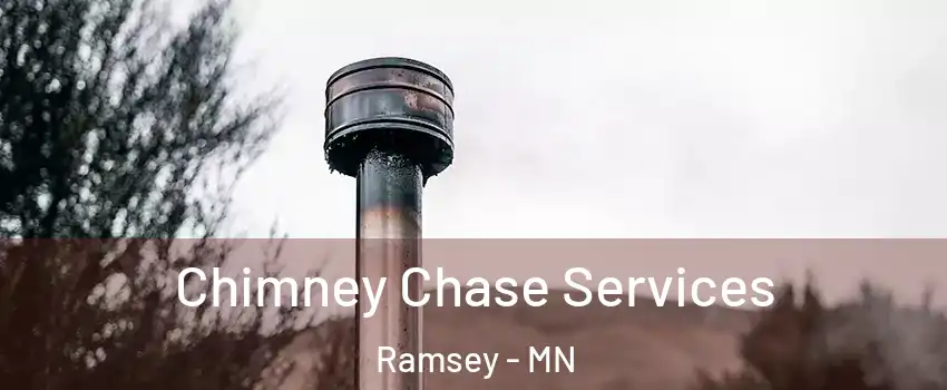  Chimney Chase Services Ramsey - MN