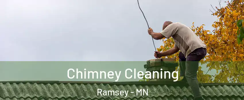  Chimney Cleaning Ramsey - MN