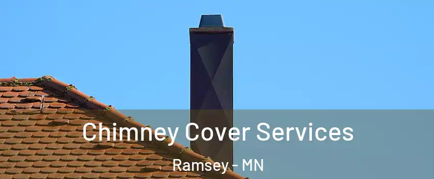  Chimney Cover Services Ramsey - MN
