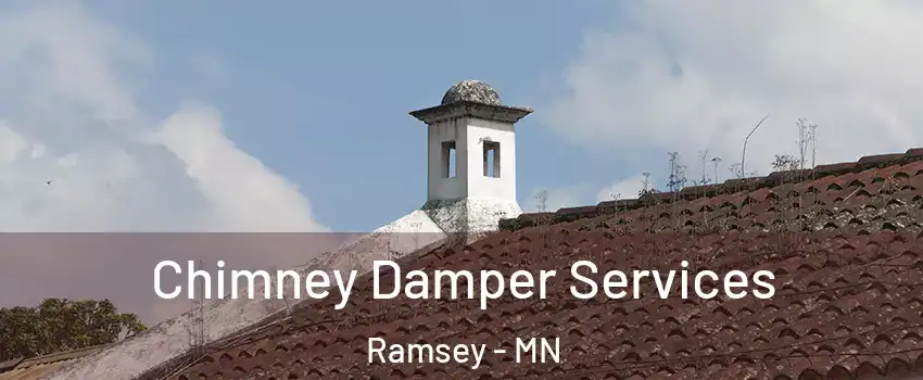  Chimney Damper Services Ramsey - MN