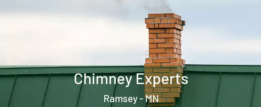 Chimney Experts Ramsey - MN