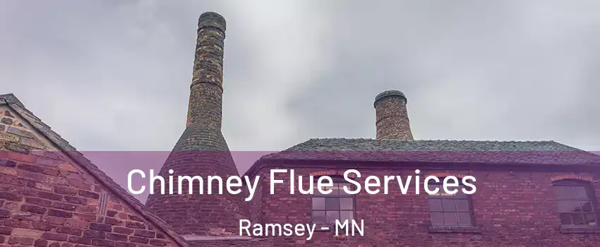  Chimney Flue Services Ramsey - MN