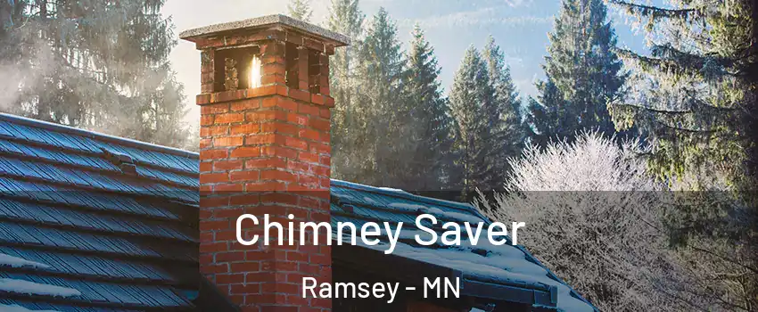  Chimney Saver Ramsey - MN