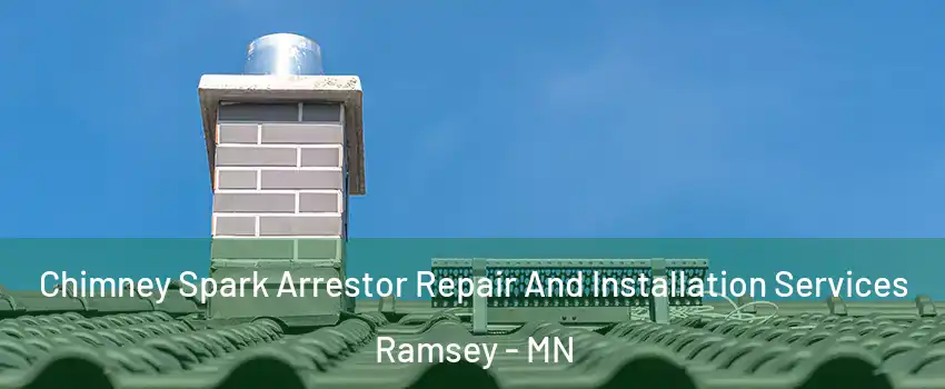  Chimney Spark Arrestor Repair And Installation Services Ramsey - MN