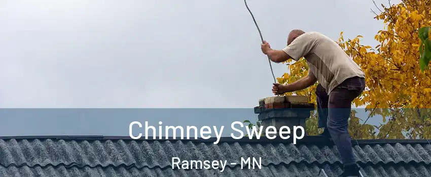 Chimney Sweep Ramsey - MN