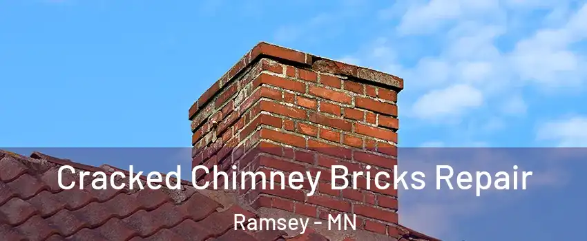  Cracked Chimney Bricks Repair Ramsey - MN