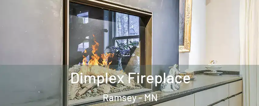  Dimplex Fireplace Ramsey - MN
