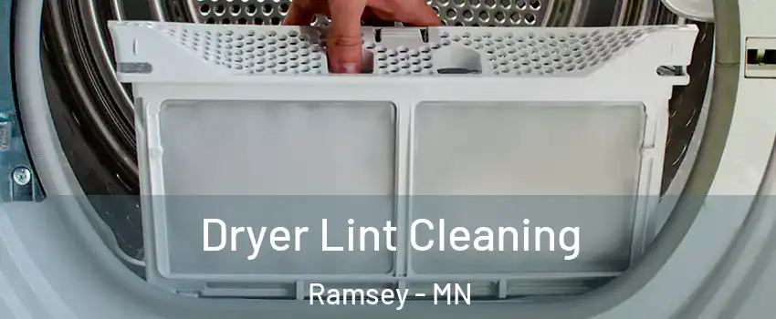 Dryer Lint Cleaning Ramsey - MN