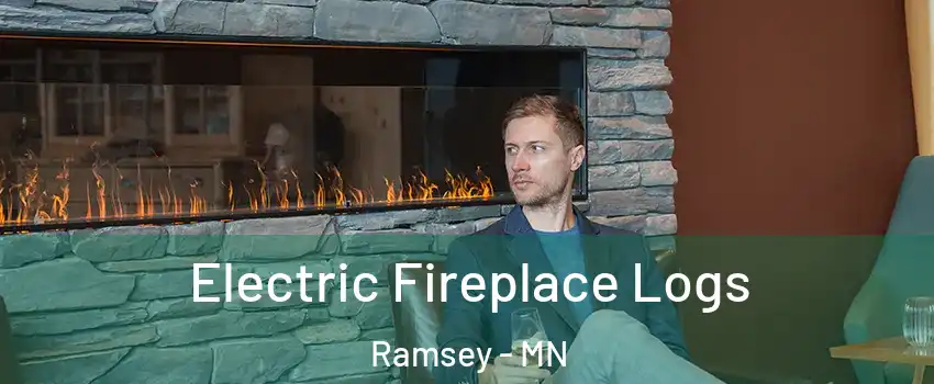  Electric Fireplace Logs Ramsey - MN