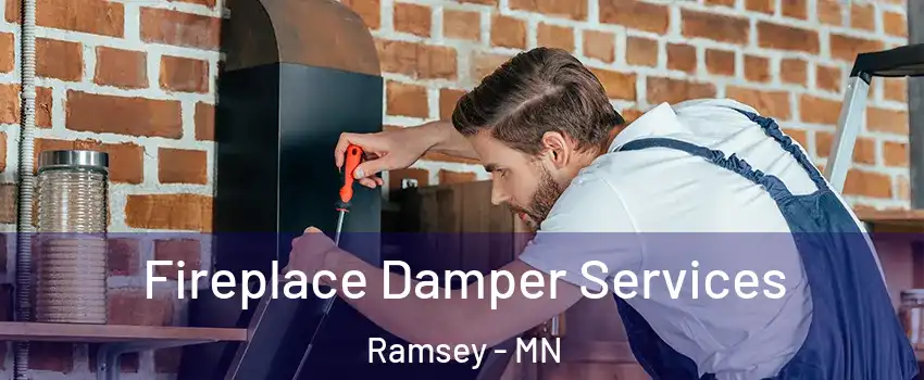  Fireplace Damper Services Ramsey - MN
