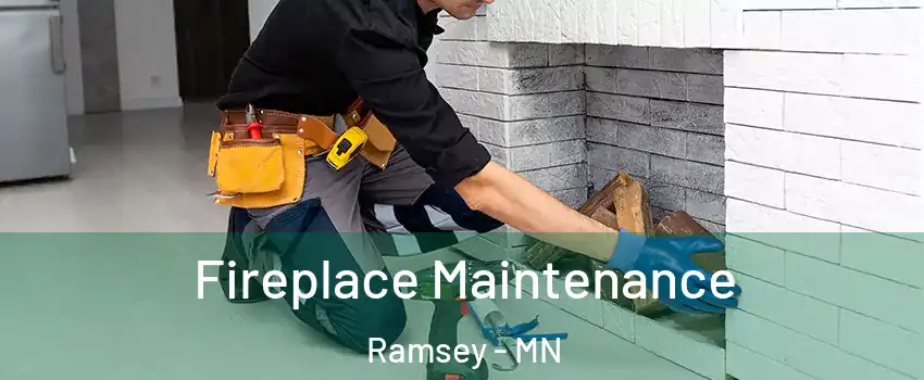  Fireplace Maintenance Ramsey - MN