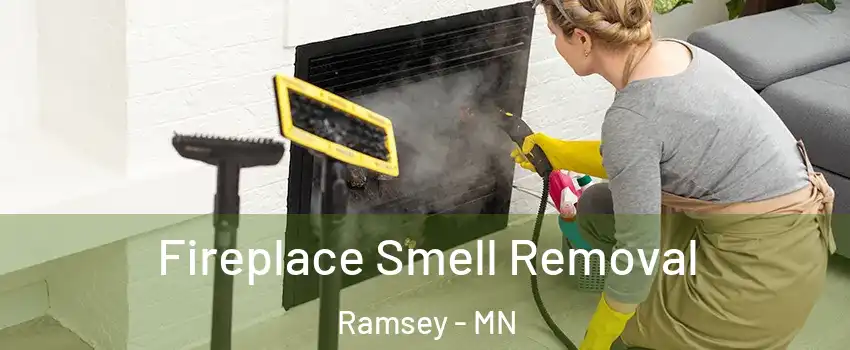  Fireplace Smell Removal Ramsey - MN