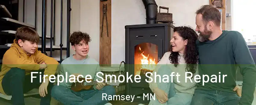  Fireplace Smoke Shaft Repair Ramsey - MN