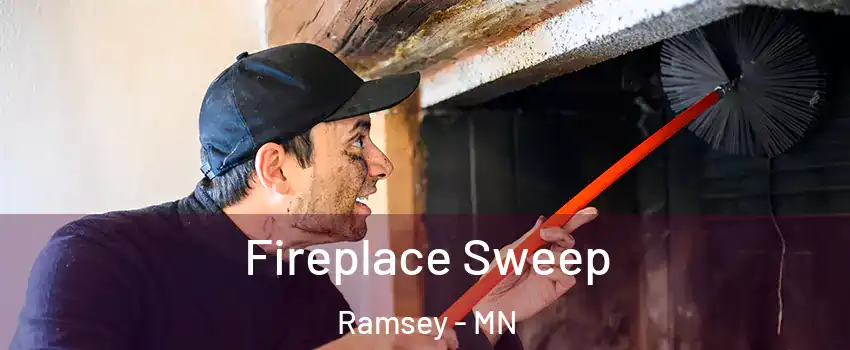  Fireplace Sweep Ramsey - MN