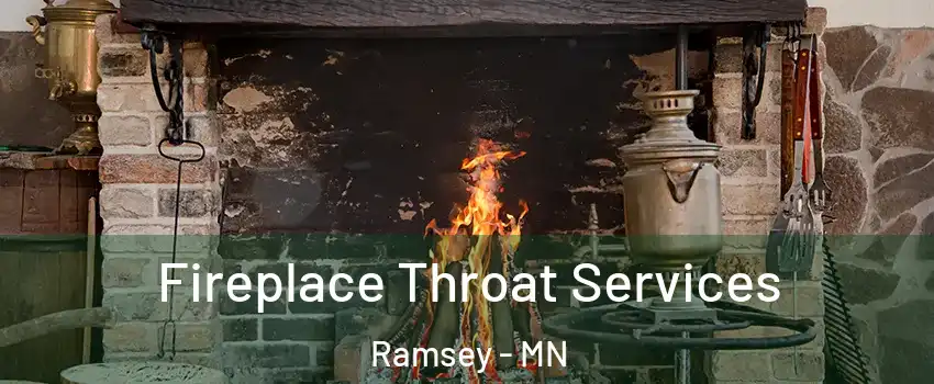  Fireplace Throat Services Ramsey - MN