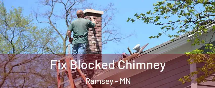  Fix Blocked Chimney Ramsey - MN