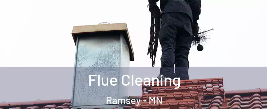  Flue Cleaning Ramsey - MN