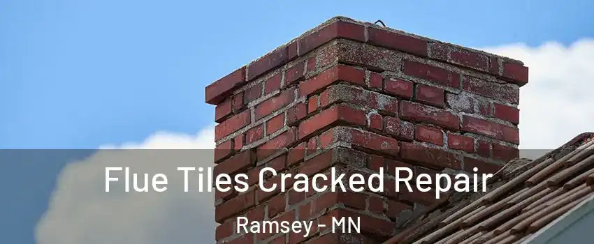  Flue Tiles Cracked Repair Ramsey - MN
