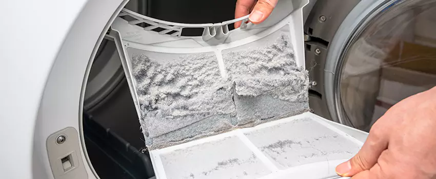Best Dryer Lint Removal Company in Ramsey, Minnesota
