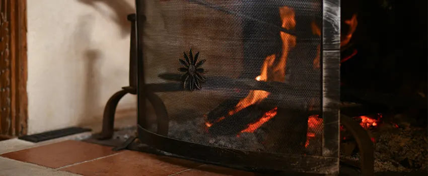 Electric Metal Fireplace installation Services in Ramsey, MN