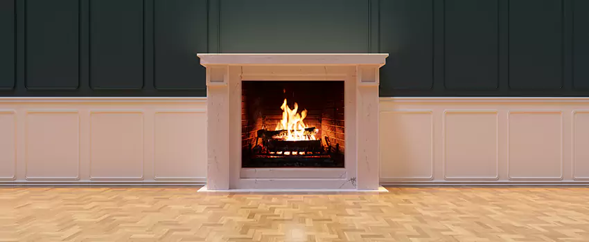Napoleon Electric Fireplaces Inspection Service in Ramsey, Minnesota
