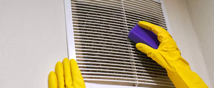 Vent Cleaning Company in Ramsey, MN