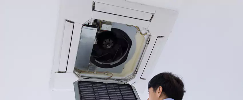 Benefits of Professional Air Duct Cleaning in Ramsey, Minnesota