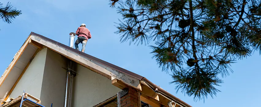 Birds Removal Contractors from Chimney in Ramsey, MN