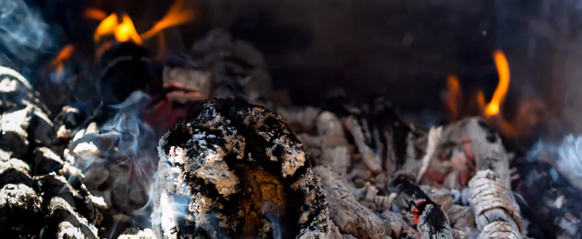 Creosote Removal Experts in Ramsey, MN