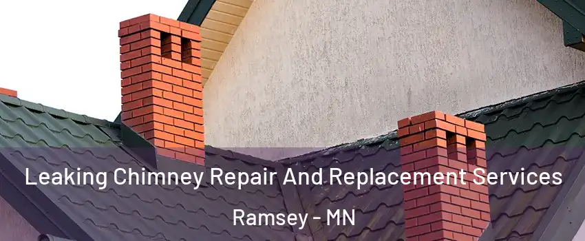  Leaking Chimney Repair And Replacement Services Ramsey - MN
