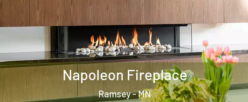  Napoleon Fireplace Ramsey - MN
