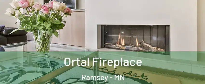 Ortal Fireplace Ramsey - MN