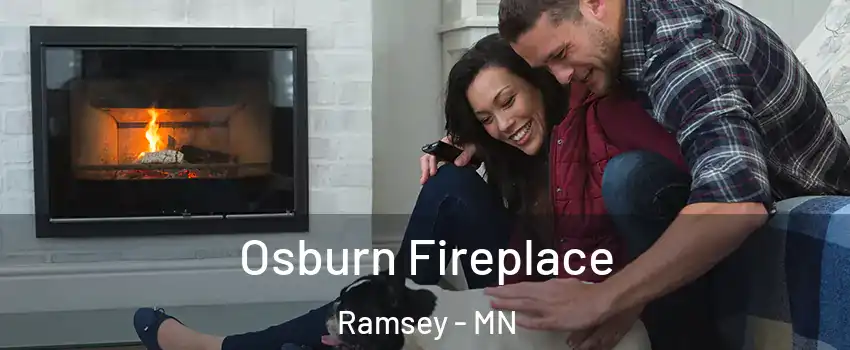  Osburn Fireplace Ramsey - MN