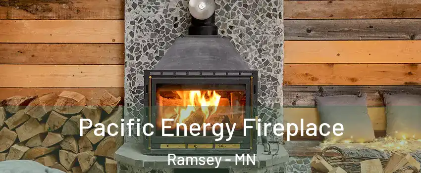  Pacific Energy Fireplace Ramsey - MN
